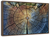 Tree Trunk Pattern Wall Art