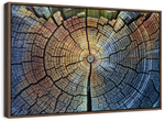 Tree Trunk Pattern Wall Art