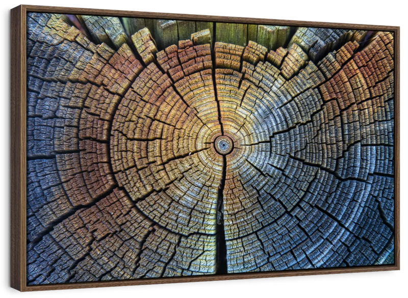 Tree Trunk Pattern Wall Art