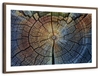Tree Trunk Pattern Wall Art