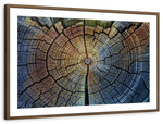 Tree Trunk Pattern Wall Art