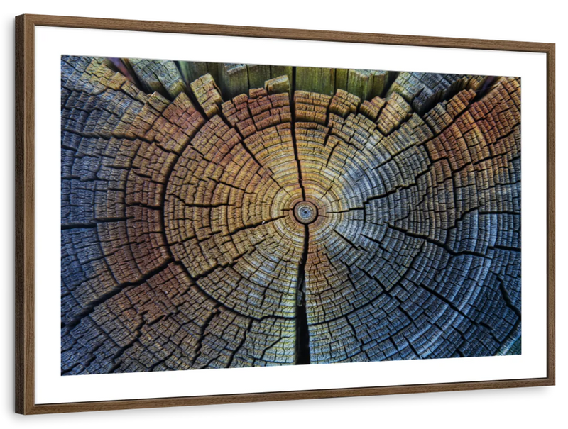 Tree Trunk Pattern Wall Art