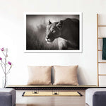Stalking Lioness Wall Art