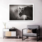 Stalking Lioness Wall Art