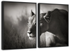 Stalking Lioness Wall Art