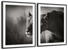 Stalking Lioness Wall Art
