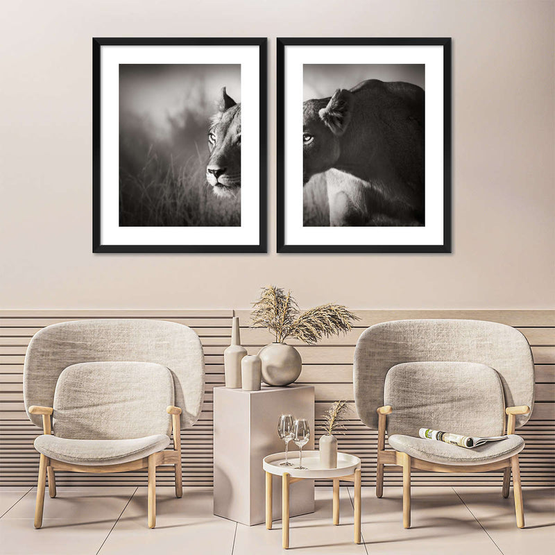 Stalking Lioness Wall Art
