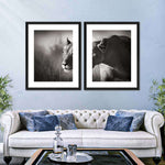 Stalking Lioness Wall Art