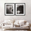 Stalking Lioness Wall Art
