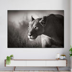 Stalking Lioness Wall Art