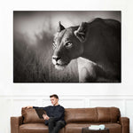 Stalking Lioness Wall Art