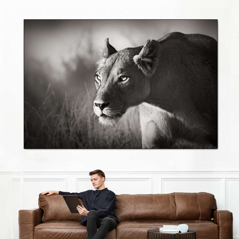 Stalking Lioness Wall Art