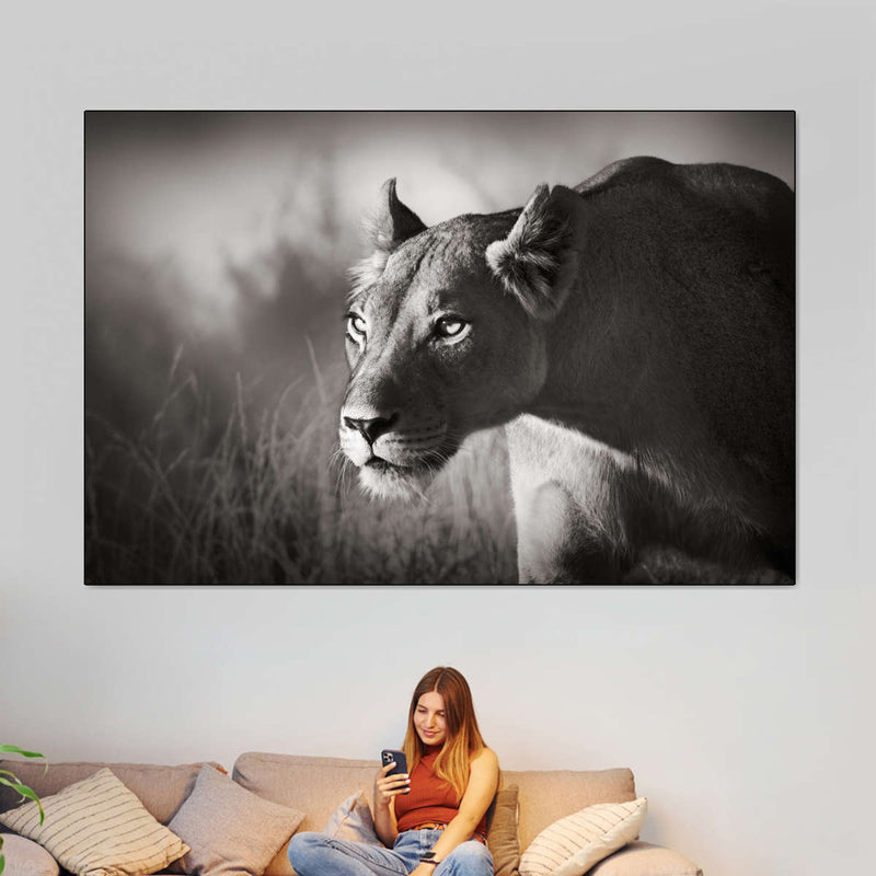 Stalking Lioness Wall Art
