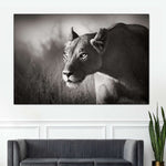 Stalking Lioness Wall Art