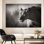 Stalking Lioness Wall Art