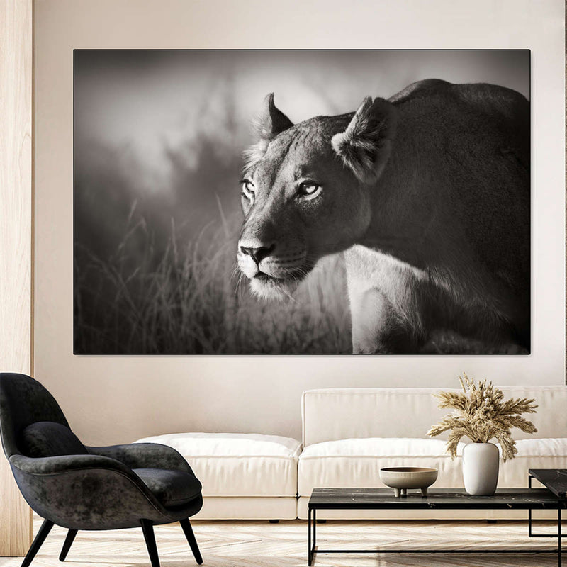 Stalking Lioness Wall Art