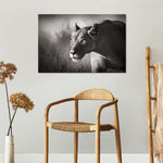 Stalking Lioness Wall Art