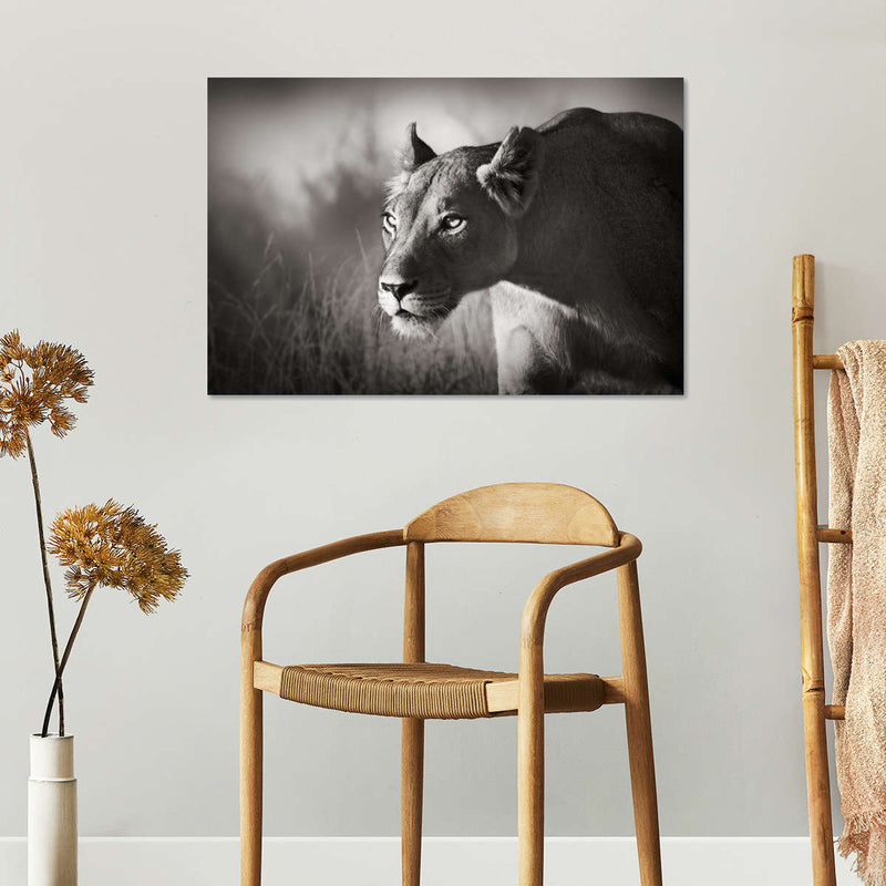 Stalking Lioness Wall Art