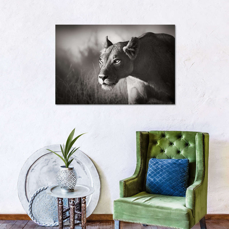 Stalking Lioness Wall Art