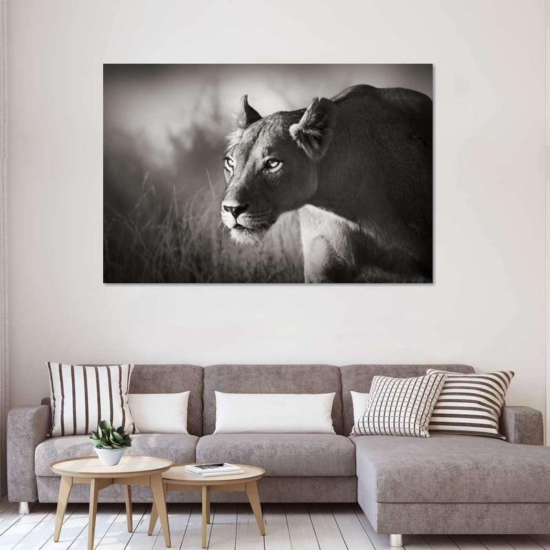 Stalking Lioness Wall Art