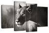 Stalking Lioness Wall Art