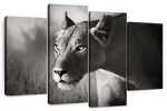 Stalking Lioness Wall Art