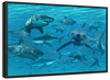 Shiver Of Sharks Wall Art
