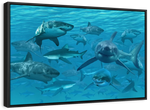 Shiver Of Sharks Wall Art
