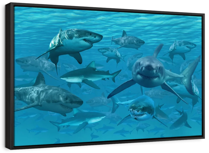 Shiver Of Sharks Wall Art