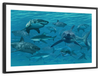 Shiver Of Sharks Wall Art