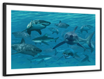 Shiver Of Sharks Wall Art