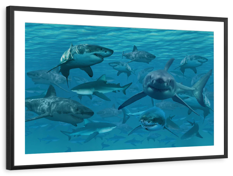 Shiver Of Sharks Wall Art