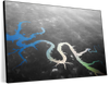 Lake Of The Ozarks Wall Art