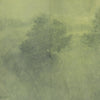 After the Rain Art | shipping 6/9/2025
