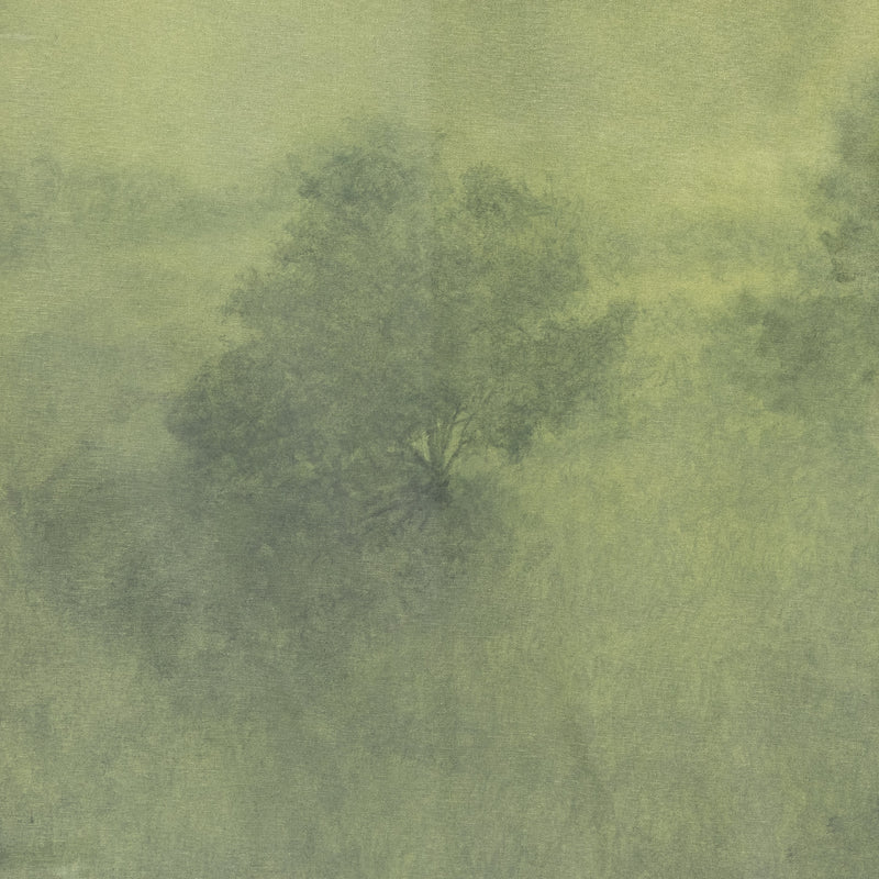 After the Rain Art | shipping 6/9/2025