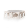 Amara Coffee Table | ready to ship!