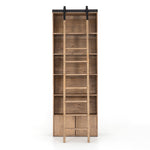 Bane Bookshelf