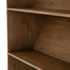 Bane Bookshelf