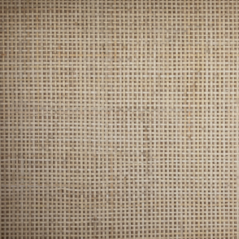 Higgs Bookcase - Honey Oak Veneer | ready to ship!