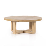 Liad Coffee Table - Natural Nettlewood | ready to ship!