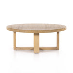 Liad Coffee Table - Natural Nettlewood | ready to ship!