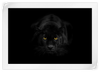 Rare Black Panther Wall Art