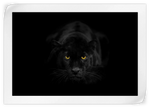 Rare Black Panther Wall Art