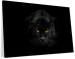 Rare Black Panther Wall Art