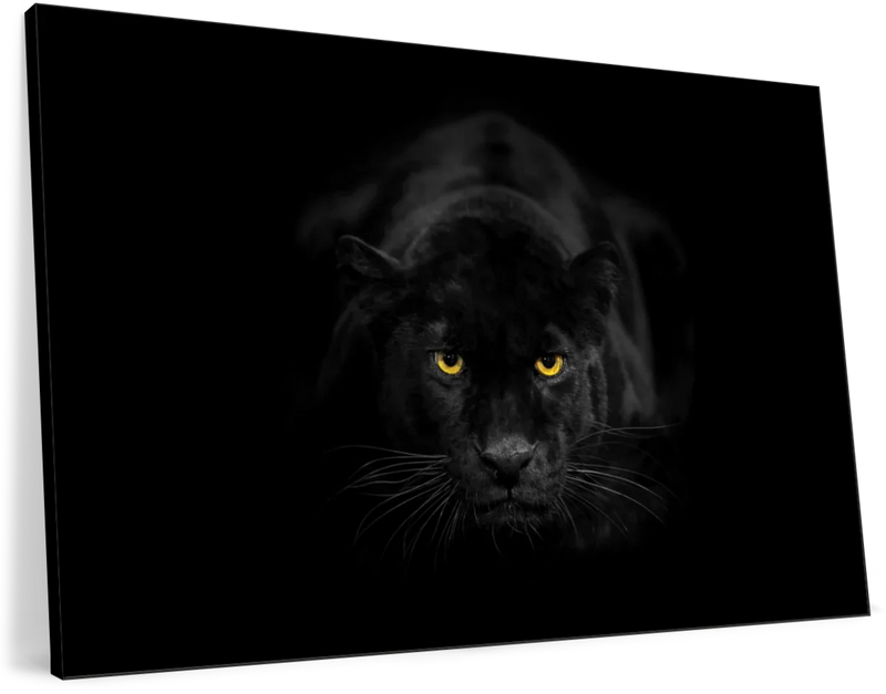 Rare Black Panther Wall Art