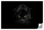 Rare Black Panther Wall Art