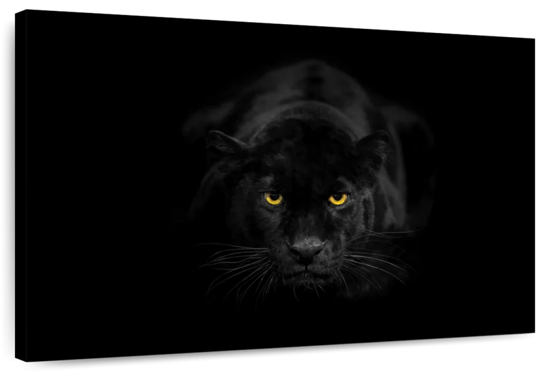 Rare Black Panther Wall Art