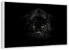 Rare Black Panther Wall Art
