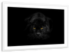 Rare Black Panther Wall Art