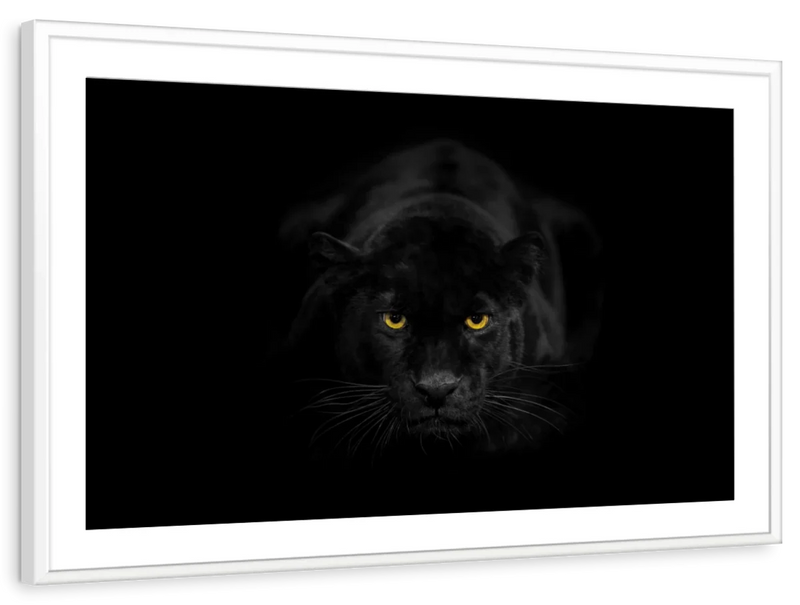 Rare Black Panther Wall Art